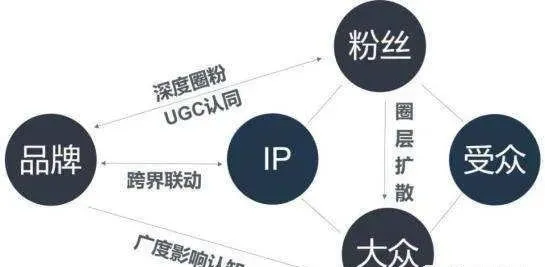 什么是垂直电商网站？shopify垂直站怎么做？shopify独立站卖家做垂直电商